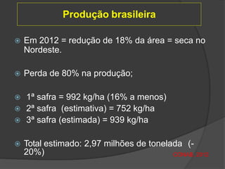 Produção brasileira
 Em 2012 = redução de 18% da área = seca no
Nordeste.
 Perda de 80% na produção;
 1ª safra = 992 kg/ha (16% a menos)
 2ª safra (estimativa) = 752 kg/ha
 3ª safra (estimada) = 939 kg/ha
 Total estimado: 2,97 milhões de tonelada (-
20%) CONAB, 2012
 