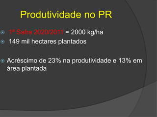 Produtividade no PR
 1ª Safra 2020/2011 = 2000 kg/ha
 149 mil hectares plantados
 Acréscimo de 23% na produtividade e 13% em
área plantada
 