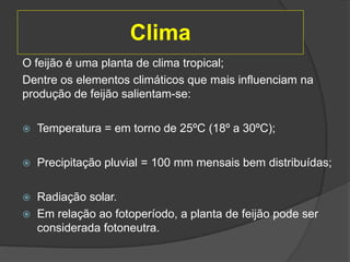 Clima
O feijão é uma planta de clima tropical;
Dentre os elementos climáticos que mais influenciam na
produção de feijão salientam-se:
 Temperatura = em torno de 25ºC (18º a 30ºC);
 Precipitação pluvial = 100 mm mensais bem distribuídas;
 Radiação solar.
 Em relação ao fotoperíodo, a planta de feijão pode ser
considerada fotoneutra.
 
