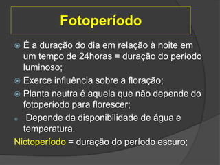 Fotoperíodo
 É a duração do dia em relação à noite em
um tempo de 24horas = duração do período
luminoso;
 Exerce influência sobre a floração;
 Planta neutra é aquela que não depende do
fotoperíodo para florescer;
 Depende da disponibilidade de água e
temperatura.
Nictoperíodo = duração do período escuro;
 