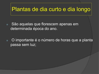Plantas de dia curto e dia longo
 São aquelas que florescem apenas em
determinada época do ano.
 O importante é o número de horas que a planta
passa sem luz;
 