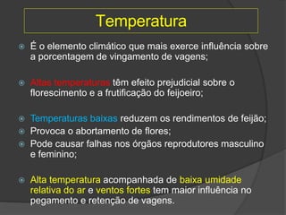Temperatura
 É o elemento climático que mais exerce influência sobre
a porcentagem de vingamento de vagens;
 Altas temperaturas têm efeito prejudicial sobre o
florescimento e a frutificação do feijoeiro;
 Temperaturas baixas reduzem os rendimentos de feijão;
 Provoca o abortamento de flores;
 Pode causar falhas nos órgãos reprodutores masculino
e feminino;
 Alta temperatura acompanhada de baixa umidade
relativa do ar e ventos fortes tem maior influência no
pegamento e retenção de vagens.
 