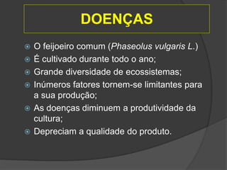 DOENÇAS
 O feijoeiro comum (Phaseolus vulgaris L.)
 É cultivado durante todo o ano;
 Grande diversidade de ecossistemas;
 Inúmeros fatores tornem-se limitantes para
a sua produção;
 As doenças diminuem a produtividade da
cultura;
 Depreciam a qualidade do produto.
 