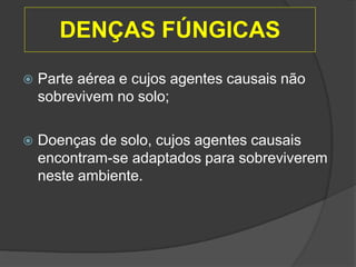 DENÇAS FÚNGICAS
 Parte aérea e cujos agentes causais não
sobrevivem no solo;
 Doenças de solo, cujos agentes causais
encontram-se adaptados para sobreviverem
neste ambiente.
 