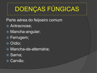 DOENÇAS FÚNGICAS
Parte aérea do feijoeiro comum
 Antracnose;
 Mancha-angular;
 Ferrugem;
 Oídio;
 Mancha-de-alternária;
 Sarna;
 Carvão.
 