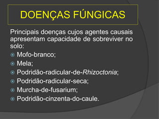 Principais doenças cujos agentes causais
apresentam capacidade de sobreviver no
solo:
 Mofo-branco;
 Mela;
 Podridão-radicular-de-Rhizoctonia;
 Podridão-radicular-seca;
 Murcha-de-fusarium;
 Podridão-cinzenta-do-caule.
DOENÇAS FÚNGICAS
 