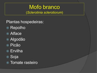 Mofo branco
(Sclerotinia sclerotiorum)
Plantas hospedeiras:
 Repolho
 Alface
 Algodão
 Picão
 Ervilha
 Soja
 Tomate rasteiro
 