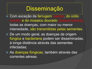  Com exceção da ferrugem (vento), do oídio
(vento) e do mosaico dourado (mosca branca)
todas as doenças, com maior ou menor
intensidade, são transmitidas pelas sementes.
 De um modo geral, as doenças de origem
fúngica e bacteriana podem ser disseminadas,
à longa distância através das sementes
infectadas;
 As doenças fúngicas, também através das
correntes aéreas.
Disseminação
 