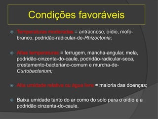 Condições favoráveis
 Temperaturas moderadas = antracnose, oídio, mofo-
branco, podridão-radicular-de-Rhizoctonia;
 Altas temperaturas = ferrugem, mancha-angular, mela,
podridão-cinzenta-do-caule, podridão-radicular-seca,
crestamento-bacteriano-comum e murcha-de-
Curtobacterium;
 Alta umidade relativa ou água livre = maioria das doenças;
 Baixa umidade tanto do ar como do solo para o oídio e a
podridão cinzenta-do-caule.
 