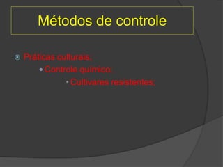 Métodos de controle
 Práticas culturais;
 Controle químico;
• Cultivares resistentes;
 