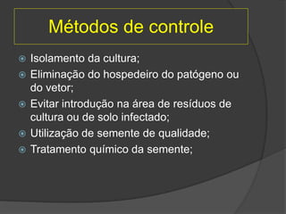 Métodos de controle
 Isolamento da cultura;
 Eliminação do hospedeiro do patógeno ou
do vetor;
 Evitar introdução na área de resíduos de
cultura ou de solo infectado;
 Utilização de semente de qualidade;
 Tratamento químico da semente;
 