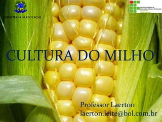 CULTURA DO MILHO
Professor Laerton
laerton.leite@bol.com.br
MINISTÉRIO DA EDUCAÇÃO
 