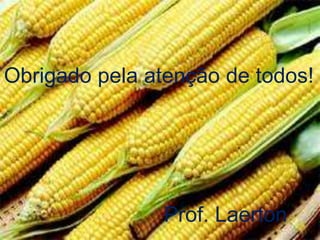 Obrigado pela atenção de todos!
Prof. Laerton
 