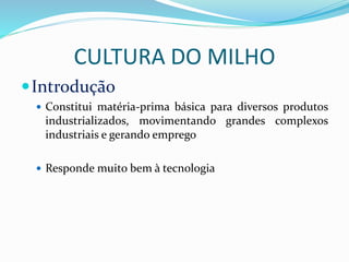 CULTURA DO MILHO
Introdução
 Constitui matéria-prima básica para diversos produtos
industrializados, movimentando grandes complexos
industriais e gerando emprego
 Responde muito bem à tecnologia
 