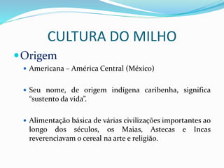 CULTURA DO MILHO
Origem
 Americana – América Central (México)
 Seu nome, de origem indígena caribenha, significa
“sustento da vida”.
 Alimentação básica de várias civilizações importantes ao
longo dos séculos, os Maias, Astecas e Incas
reverenciavam o cereal na arte e religião.
 