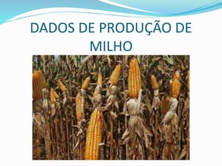 DADOS DE PRODUÇÃO DE
MILHO
 