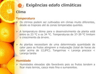 Exigências edafo climáticas
Clima
Temperatura
➢ Os citrinos podem ser cultivados em climas muito diferentes,
desde os tropicais até às zonas temperadas quentes.
➢ A temperatura ótima para o desenvolvimento da planta está
entre os 23 °C e os 34 °C. Temperaturas de 37-39 °C limitam
o crescimento da árvore.
➢ As plantas necessitam de uma determinada quantidade de
calor para os frutos atingirem a maturação (total de horas de
calor acima de 12,8ºC). Tangerinas < Laranja precoce <
Laranja tardia
Humidade
➢ Humidades elevadas são favoráveis pois os frutos tendem a
ficar mais tenros, casca mais fina e sumarentos.
 