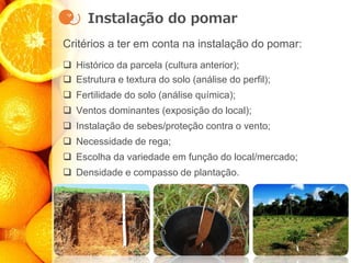 Instalação do pomar
Critérios a ter em conta na instalação do pomar:
❑ Histórico da parcela (cultura anterior);
❑ Estrutura e textura do solo (análise do perfil);
❑ Fertilidade do solo (análise química);
❑ Ventos dominantes (exposição do local);
❑ Instalação de sebes/proteção contra o vento;
❑ Necessidade de rega;
❑ Escolha da variedade em função do local/mercado;
❑ Densidade e compasso de plantação.
 