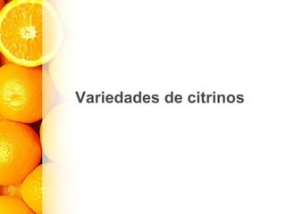 Variedades de citrinos
 