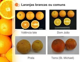 Laranjas brancas ou comuns
Valência late Dom João
Prata Terra (St. Michael)
 
