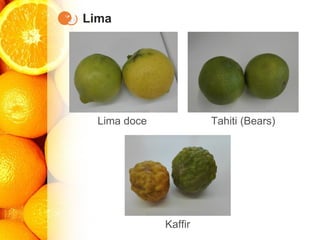 Lima
Lima doce Tahiti (Bears)
Kaffir
 