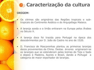 Caracterização da cultura
ORIGEM:
• Os citrinos são originários das Regiões tropicais e sub-
tropicais do Continente Asiático e do Arquipélago Malaico.
• A laranja azeda e o limão entraram na Europa pelos Árabes
no Século X.
• A laranja doce foi trazida para Portugal na época dos
descobrimentos por D. João de Castro no ano de 1520.
• D. Francisco de Mascarenhas plantou as primeiras laranjas
doces provenientes da China. Destas árvores originaram-se
os laranjais que se estenderam pelas lezírias do Tejo e Sado
e depois à Madeira, Açores e Brasil, dando a Portugal a
categoria de maior exportador de laranjas.
 