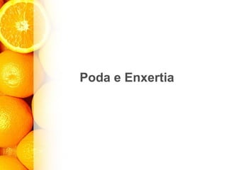 Poda e Enxertia
 