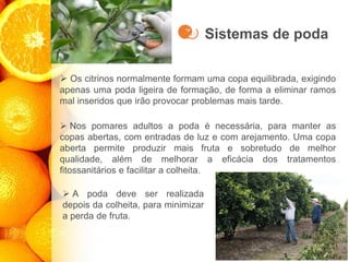 Sistemas de poda
➢ Os citrinos normalmente formam uma copa equilibrada, exigindo
apenas uma poda ligeira de formação, de forma a eliminar ramos
mal inseridos que irão provocar problemas mais tarde.
➢ Nos pomares adultos a poda é necessária, para manter as
copas abertas, com entradas de luz e com arejamento. Uma copa
aberta permite produzir mais fruta e sobretudo de melhor
qualidade, além de melhorar a eficácia dos tratamentos
fitossanitários e facilitar a colheita.
➢ A poda deve ser realizada
depois da colheita, para minimizar
a perda de fruta.
 