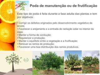 Poda de manutenção ou de frutificação
Este tipo de poda é feita durante a fase adulta das plantas e tem
por objetivos:
• Corrigir os defeitos originados pelo desenvolvimento vegetativo da
árvore;
• Favorecer o arejamento e a entrada de radiação solar no interior da
copa;
• Manter a forma de condução;
• Regularizar a produção;
• Manter o equilíbrio entre a vegetação e a frutificação;
• Renovar os ramos de produção;
• Favorecer uma boa distribuição dos ramos produtivos.
 
