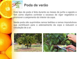 Poda de verão
Este tipo de poda é feita durante os meses de junho a agosto e
têm como objetivo controlar o excesso de vigor vegetativo e
promover o arejamento do interior da copa.
Nesta poda são suprimidos ramos ladrões e ramos improdutivos
que contribuem para o adensamento da copa e reduzem a
circulação de a ar.
 