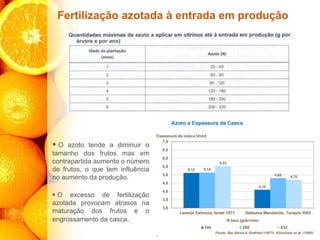 Fertilização azotada à entrada em produção
▪ O azoto tende a diminuir o
tamanho dos frutos mas em
contrapartida aumento o número
de frutos, o que tem influência
no aumento da produção.
▪ O excesso de fertilização
azotada provocam atrasos na
maturação dos frutos e o
engrossamento da casca.
 