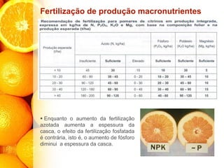 Fertilização de produção macronutrientes
▪ Enquanto o aumento da fertilização
azotada aumenta a espessura da
casca, o efeito da fertilização fosfatada
é contrária, isto é, o aumento de fósforo
diminui a espessura da casca.
 