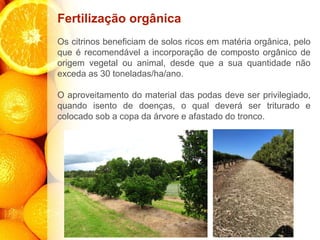 Fertilização orgânica
Os citrinos beneficiam de solos ricos em matéria orgânica, pelo
que é recomendável a incorporação de composto orgânico de
origem vegetal ou animal, desde que a sua quantidade não
exceda as 30 toneladas/ha/ano.
O aproveitamento do material das podas deve ser privilegiado,
quando isento de doenças, o qual deverá ser triturado e
colocado sob a copa da árvore e afastado do tronco.
 