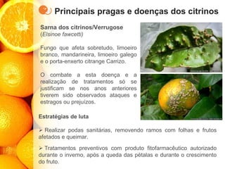 Principais pragas e doenças dos citrinos
Sarna dos citrinos/Verrugose
(Elsinoe fawcetti)
Fungo que afeta sobretudo, limoeiro
branco, mandarineira, limoeiro galego
e o porta-enxerto citrange Carrizo.
O combate a esta doença e a
realização de tratamentos só se
justificam se nos anos anteriores
tiverem sido observados ataques e
estragos ou prejuízos.
Estratégias de luta
➢ Realizar podas sanitárias, removendo ramos com folhas e frutos
afetados e queimar.
➢ Tratamentos preventivos com produto fitofarmacêutico autorizado
durante o inverno, após a queda das pétalas e durante o crescimento
do fruto.
 
