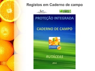 Registos em Caderno de campo
 