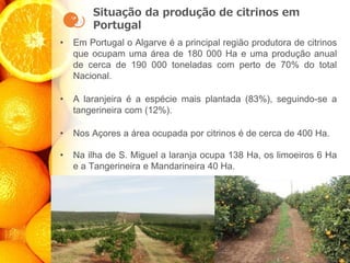 Situação da produção de citrinos em
Portugal
• Em Portugal o Algarve é a principal região produtora de citrinos
que ocupam uma área de 180 000 Ha e uma produção anual
de cerca de 190 000 toneladas com perto de 70% do total
Nacional.
• A laranjeira é a espécie mais plantada (83%), seguindo-se a
tangerineira com (12%).
• Nos Açores a área ocupada por citrinos é de cerca de 400 Ha.
• Na ilha de S. Miguel a laranja ocupa 138 Ha, os limoeiros 6 Ha
e a Tangerineira e Mandarineira 40 Ha.
 