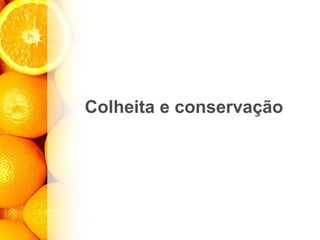 Colheita e conservação
 