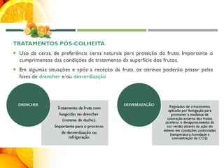 Cultura dos Citrinos.pdf