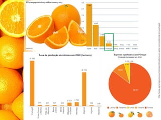 http://www.agronegocios.eu/noticias/citricultura-um-setor-com-potencial-em-portugal/
 