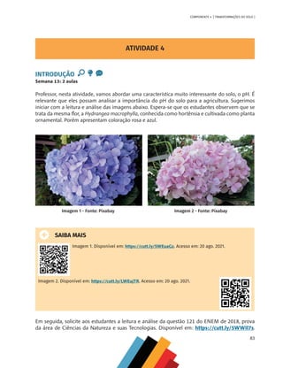 83
COMPONENTE 4 [ TRANSFORMAÇÕES DO SOLO ]
ATIVIDADE 4
INTRODUÇÃO
Semana 13: 2 aulas
Professor, nesta atividade, vamos abordar uma característica muito interessante do solo, o pH. É
relevante que eles possam analisar a importância do pH do solo para a agricultura. Sugerimos
iniciar com a leitura e análise das imagens abaixo. Espera-se que os estudantes observem que se
trata da mesma flor, a Hydrangea macrophylla, conhecida como hortênsia e cultivada como planta
ornamental. Porém apresentam coloração rosa e azul.
	
SAIBA MAIS
Imagem 1. Disponível em: https://cutt.ly/SWEuaGz. Acesso em: 20 ago. 2021.
Imagem 2. Disponível em: https://cutt.ly/LWEujTR. Acesso em: 20 ago. 2021.
Em seguida, solicite aos estudantes a leitura e análise da questão 121 do ENEM de 2018, prova
da área de Ciências da Natureza e suas Tecnologias. Disponível em: https://cutt.ly/5WWIl7s.
Imagem 1 - Fonte: Pixabay Imagem 2 - Fonte: Pixabay
CHS-CNT cultura do solo V6.indd 83
CHS-CNT cultura do solo V6.indd 83 22/12/21 10:17
22/12/21 10:17
 