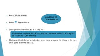 MICRONUTRIENTES
 Boro Semeadura
• Dose pode variar de 0,65 a 1,3 kg ha-1
• Efeito residual do boro é de dois anos para a forma de bórax e de três
anos para a forma de FTE.
CONTROLE DE
CHOCHAMENTO
Equivalente a aplicar de 5,9 a 11,8 kg ha-1 de bórax ou de 35 a 70 kg ha-1
de FTE BR 12 (1,8% de boro).
 