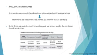  INOCULAÇÃO EM SEMENTES
Inoculante com Azospirillum brasilense e/ou outras bactérias associativas
Promotoras de crescimento de plantas (?) possível fixação de N (??)
 A eficiência agronômica dos inoculantes pode variar em função das condições
de cultivo do trigo.
Fonte: Informações técnicas para trigo e triticale 2014
 