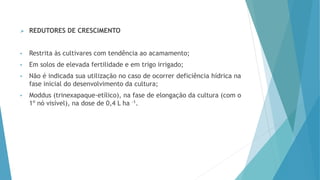  REDUTORES DE CRESCIMENTO
• Restrita às cultivares com tendência ao acamamento;
• Em solos de elevada fertilidade e em trigo irrigado;
• Não é indicada sua utilização no caso de ocorrer deficiência hídrica na
fase inicial do desenvolvimento da cultura;
• Moddus (trinexapaque-etílico), na fase de elongação da cultura (com o
1º nó visível), na dose de 0,4 L ha -1.
 