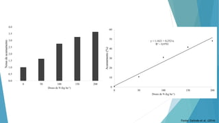 0.0
0.5
1.0
1.5
2.0
2.5
3.0
3.5
4.0
0 50 100 150 200
Notas
de
acamamento
Doses de N (kg ha-1)
y = 1,1621 + 0,2521x
R² = 0,9701
0
10
20
30
40
50
60
0 50 100 150 200
Acamamento
(%)
Doses de N (kg ha-1)
Fonte: Galindo et al. (2014)
 