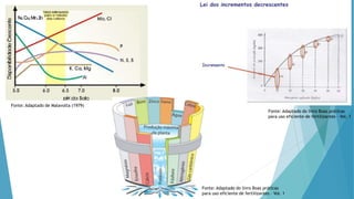 Fonte: Adaptado de Malavolta (1979)
Fonte: Adaptado do livro Boas práticas
para uso eficiente de fertilizantes – Vol. 1
Fonte: Adaptado do livro Boas práticas
para uso eficiente de fertilizantes – Vol. 1
 