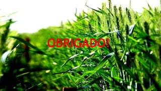 OBRIGADO!
 