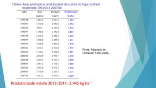 Produtividade média 2013/2014: 2.445 kg ha-1
 