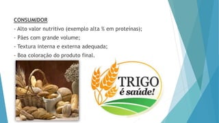 CONSUMIDOR
- Alto valor nutritivo (exemplo alta % em proteínas);
- Pães com grande volume;
- Textura interna e externa adequada;
- Boa coloração do produto final.
 