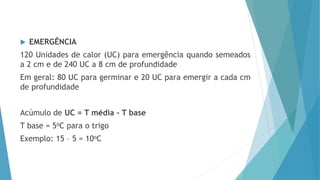  EMERGÊNCIA
120 Unidades de calor (UC) para emergência quando semeados
a 2 cm e de 240 UC a 8 cm de profundidade
Em geral: 80 UC para germinar e 20 UC para emergir a cada cm
de profundidade
Acúmulo de UC = T média – T base
T base = 5oC para o trigo
Exemplo: 15 – 5 = 10oC
 