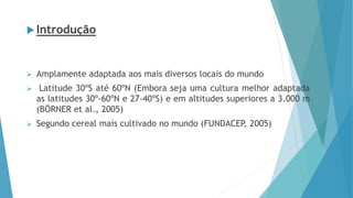 Introdução
 Amplamente adaptada aos mais diversos locais do mundo
 Latitude 30ºS até 60ºN (Embora seja uma cultura melhor adaptada
as latitudes 30º-60ºN e 27-40ºS) e em altitudes superiores a 3.000 m
(BÖRNER et al., 2005)
 Segundo cereal mais cultivado no mundo (FUNDACEP, 2005)
 